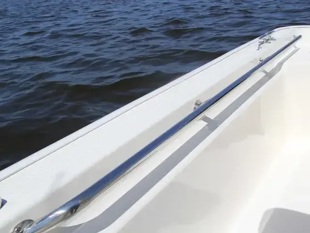 Boston Whaler 150 Montauk