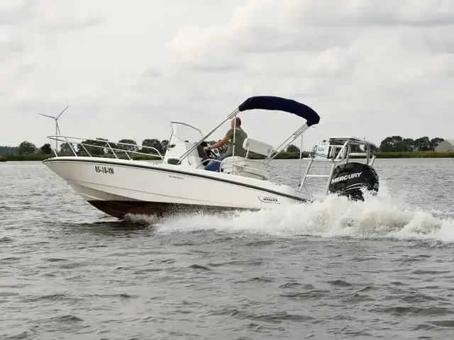 Boston Whaler 230 Dauntless