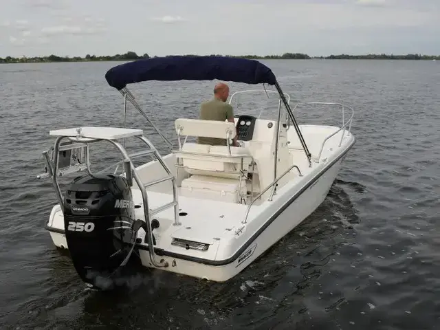 Boston Whaler 230 Dauntless