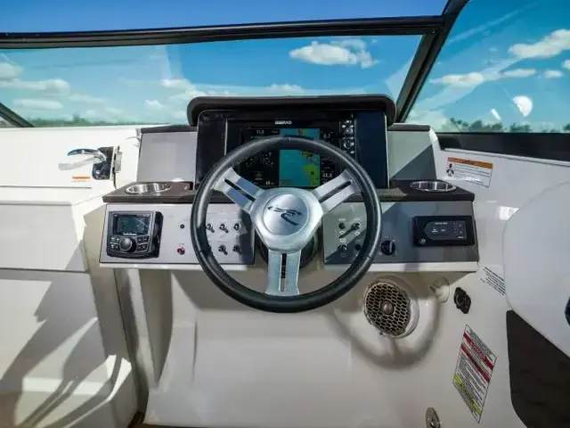 Sea Ray 250 Sdx