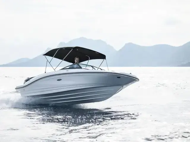 Sea Ray SPX 210 Outboard