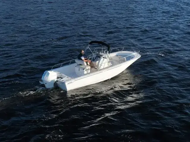 Boston Whaler 210 Montauk