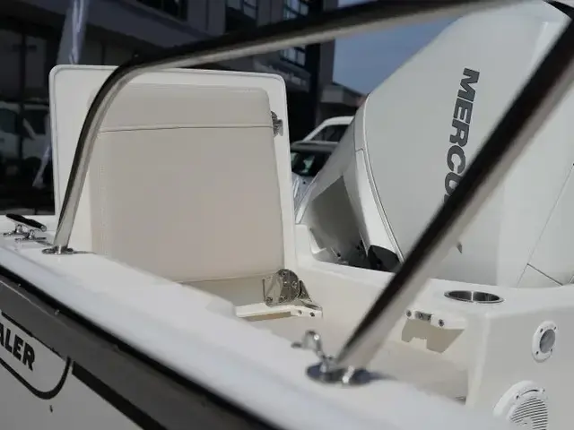 Boston Whaler 210 Montauk