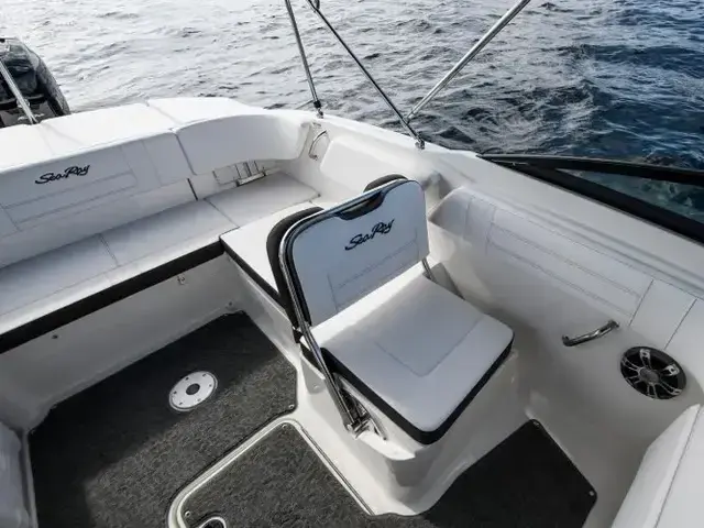 Sea Ray SPX 210 Outboard