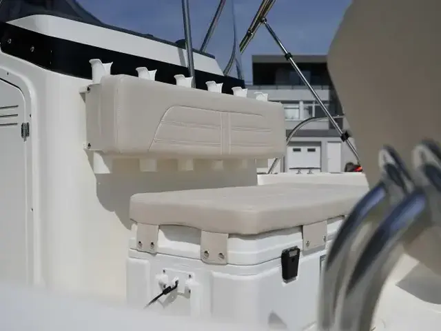 Boston Whaler 210 Montauk