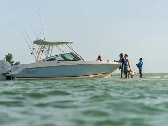 Boston Whaler 240 Vantage