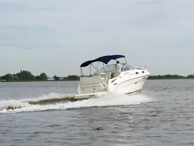 Sea Ray 255 Sundancer