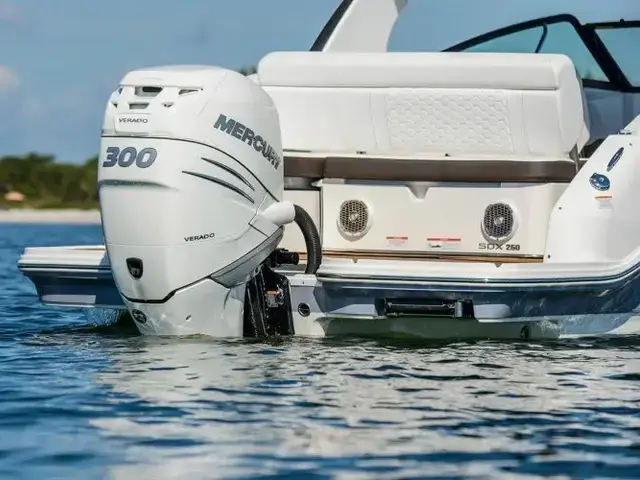 Sea Ray SDX 250 OB