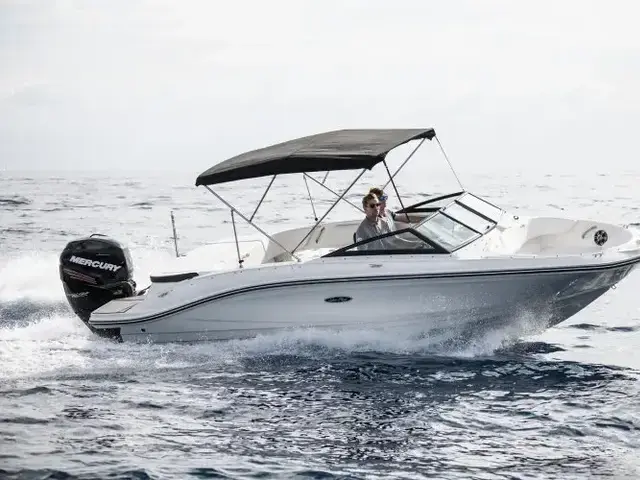 Sea Ray SPX 210 Outboard