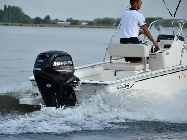 Boston Whaler 170 Montauk