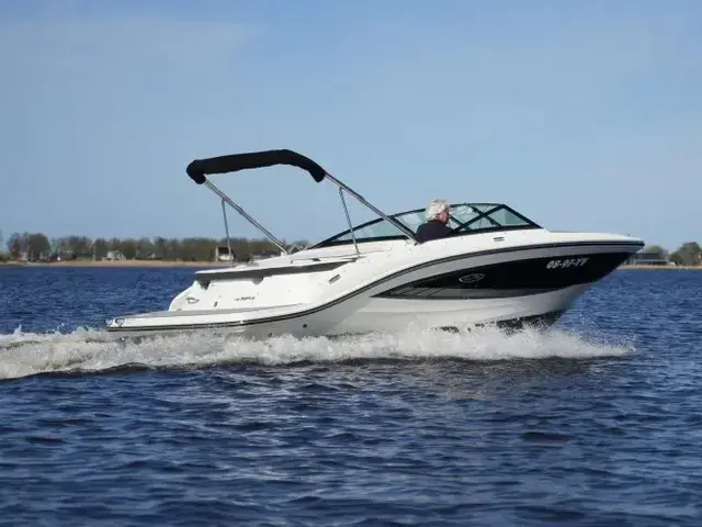 Sea Ray 19 SPX