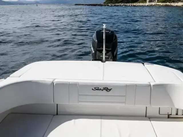 Sea Ray SPX 210 Outboard