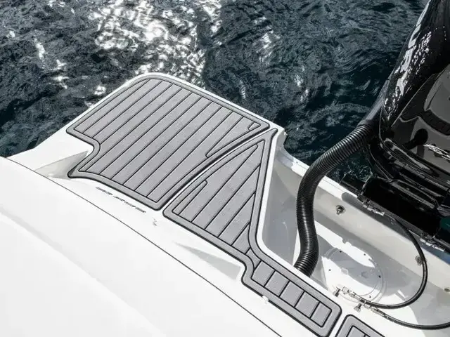 Sea Ray SPX 210 Outboard