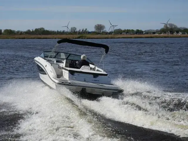 Sea Ray 19 SPX