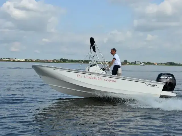 Boston Whaler 170 Montauk