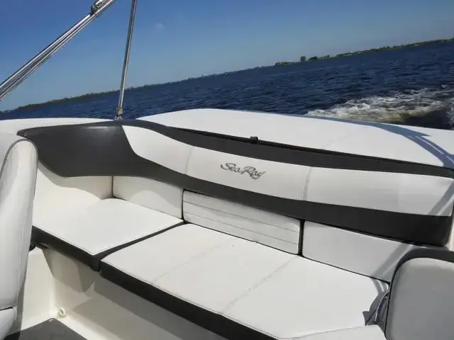 Sea Ray 19 SPX