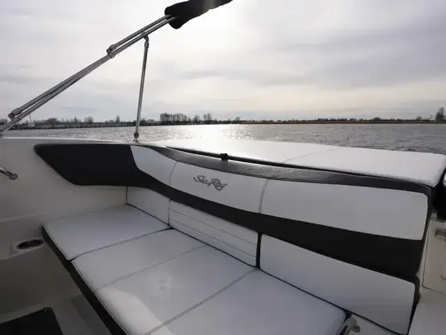 Sea Ray 19 SPX