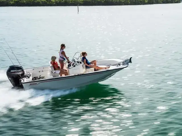 Boston Whaler 170 Montauk