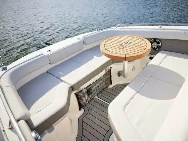 Sea Ray 250 Slx