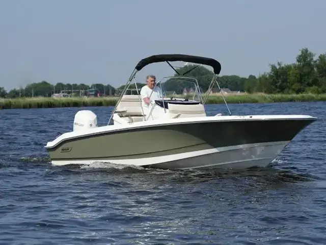 Boston Whaler 250 Dauntless