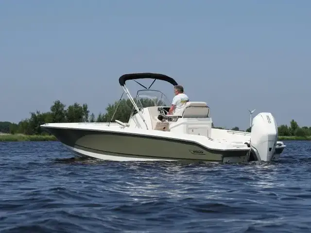 Boston Whaler 250 Dauntless