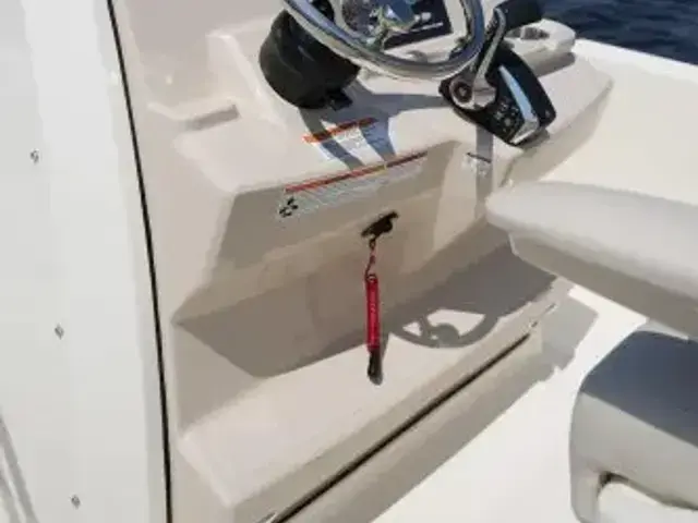 Boston Whaler 250 Dauntless