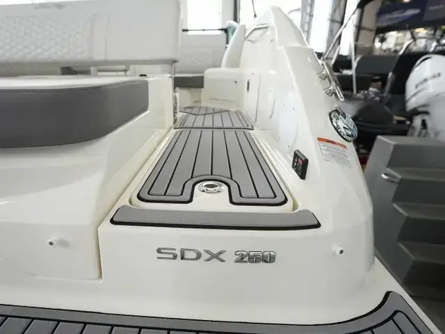 Sea Ray 250 Slx