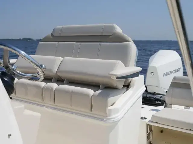 Boston Whaler 250 Dauntless