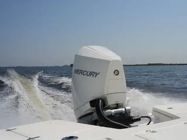 Boston Whaler 250 Dauntless