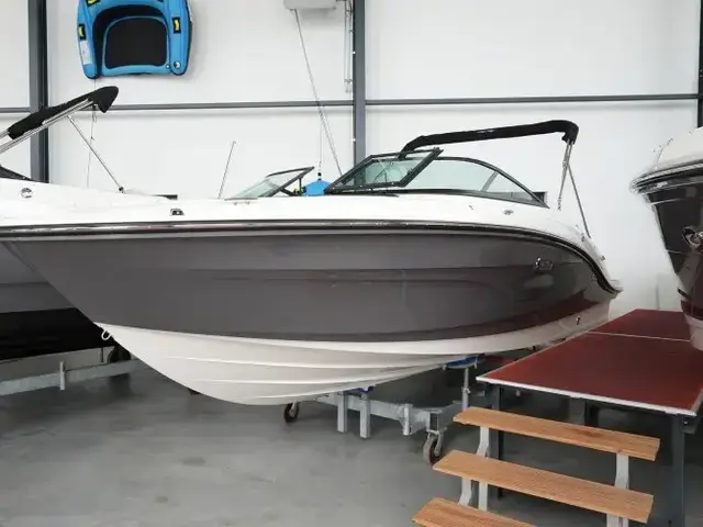 Sea Ray SPX 210 (nieuw Model 2024)