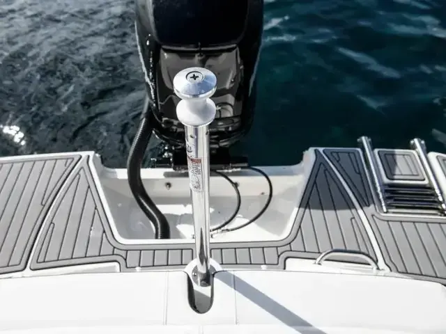 Sea Ray SPX 210 Outboard