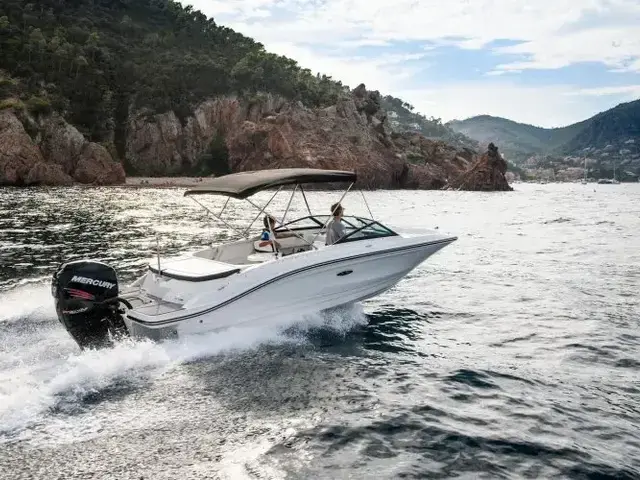 Sea Ray SPX 210 Outboard