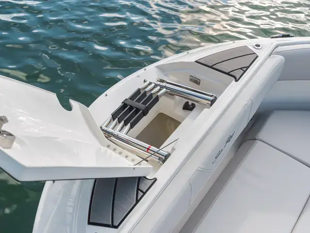 Sea Ray 250 Sdx