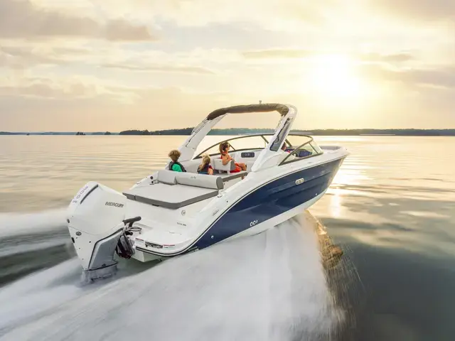 Sea Ray 250 Sdx