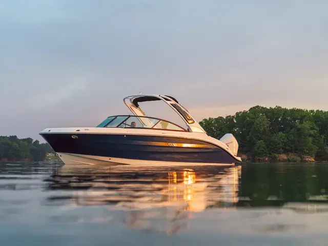 Sea Ray 250 Sdx