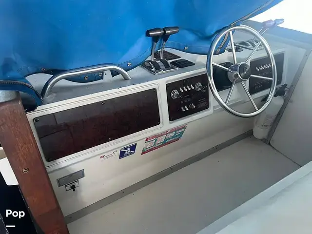 Sea Ray 390 Express Cruiser