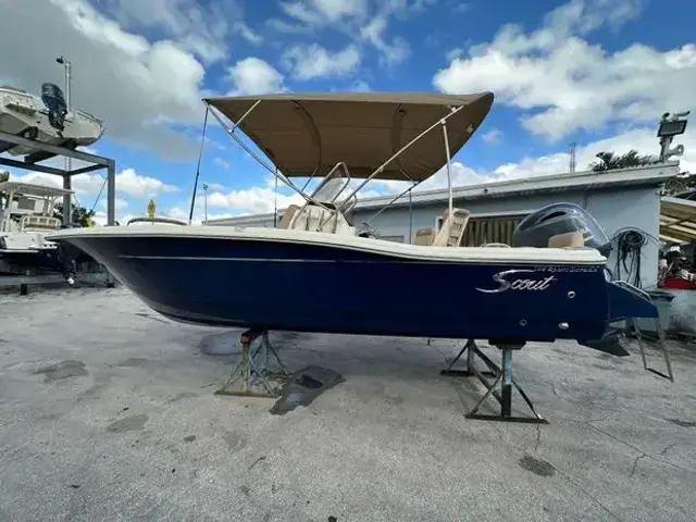 Scout 195 Sport Dorado