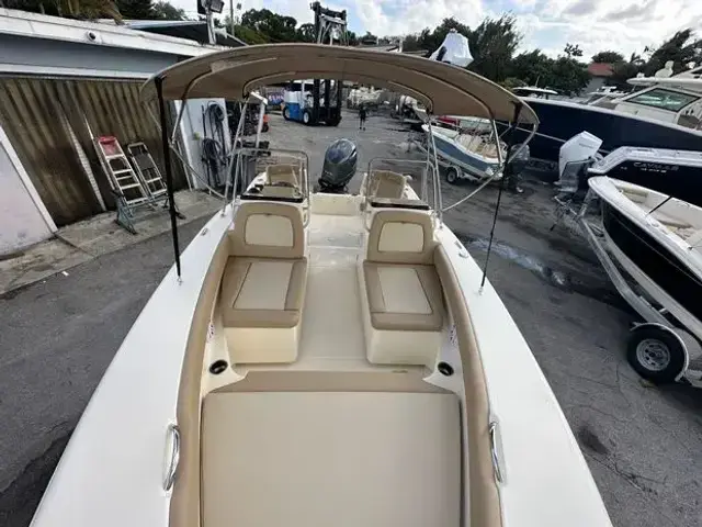 Scout 195 Sport Dorado