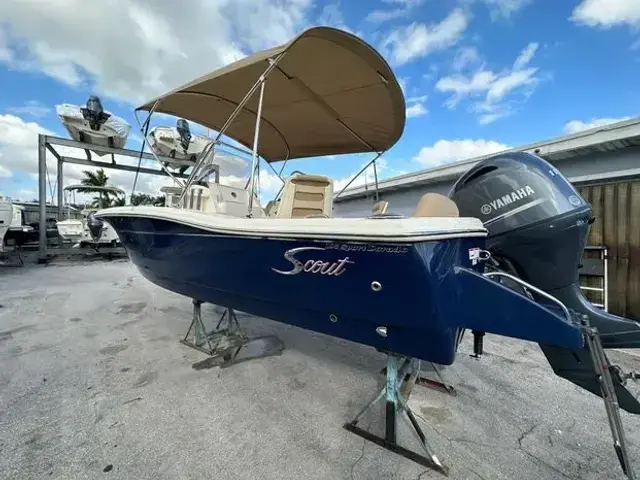 Scout 195 Sport Dorado