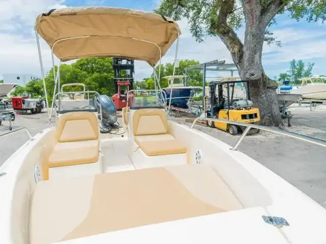 Scout 175 Sport Dorado