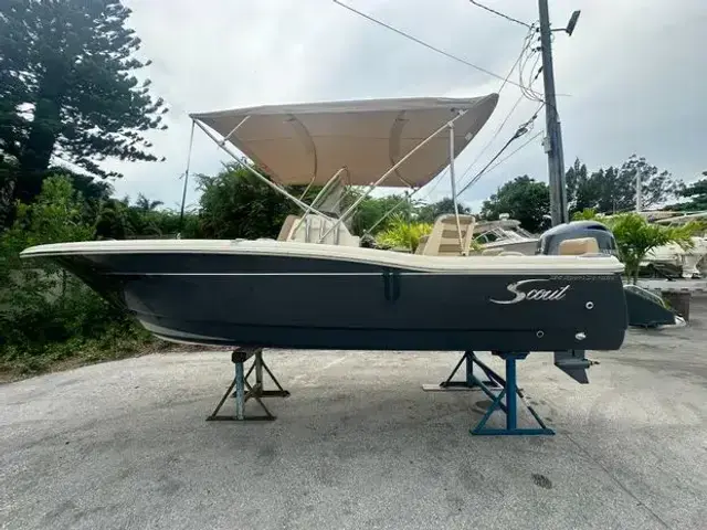 Scout 195 Sport Dorado