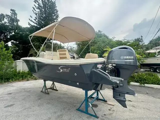 Scout 195 Sport Dorado