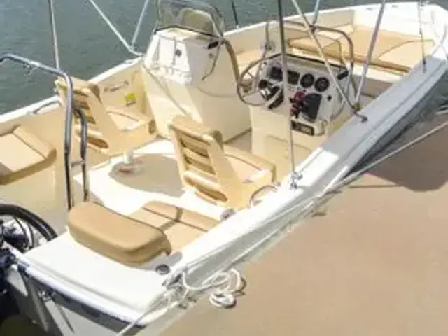 Scout 175 Sport Dorado