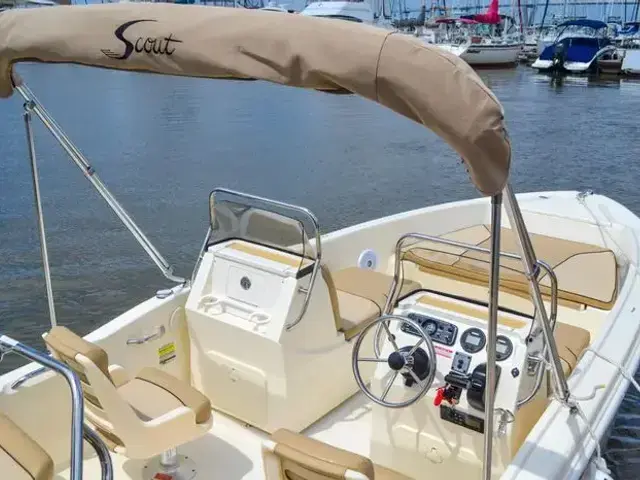 Scout 175 Sport Dorado