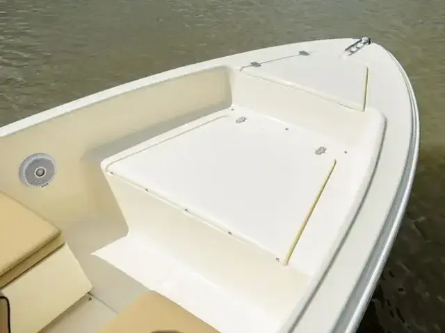 Scout 175 Sport Dorado