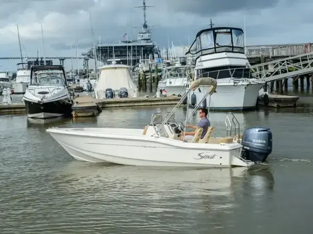 Scout 175 Sport Dorado