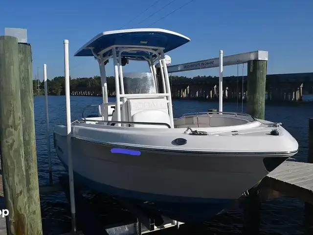 Robalo R222