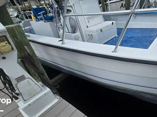 Twin Vee Boats 36 Ocean Cat