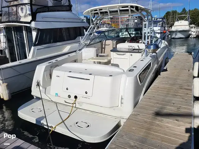 Sea Ray 290 Amberjack