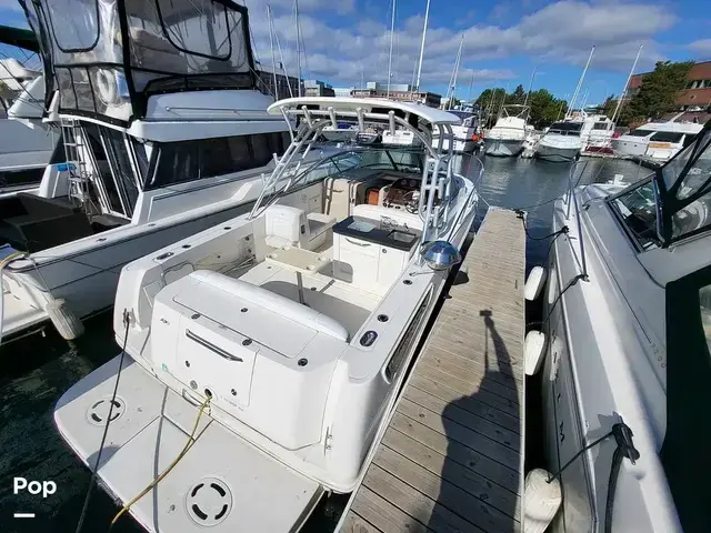 Sea Ray 290 Amberjack